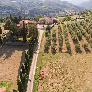 Trebbiolo Dicomano