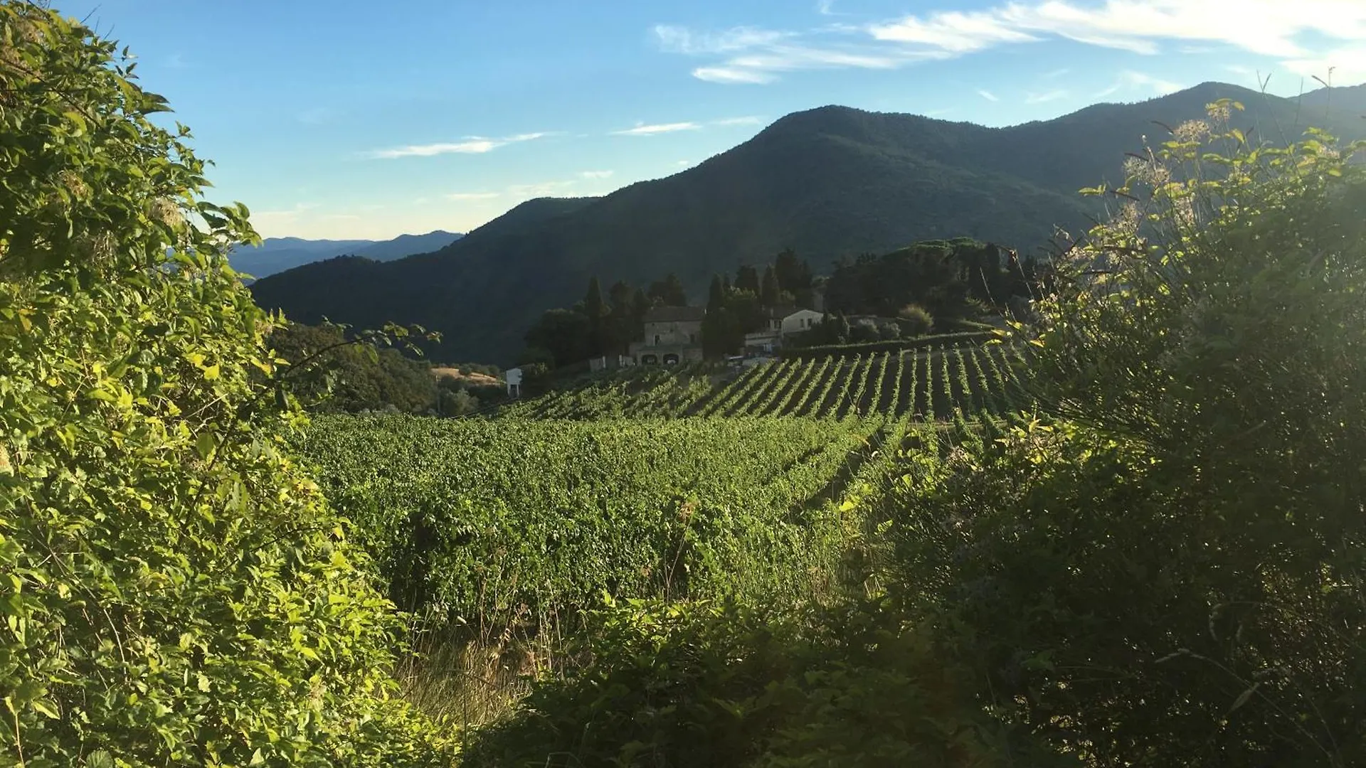 Farm stay Frascole Villa Dicomano Italy