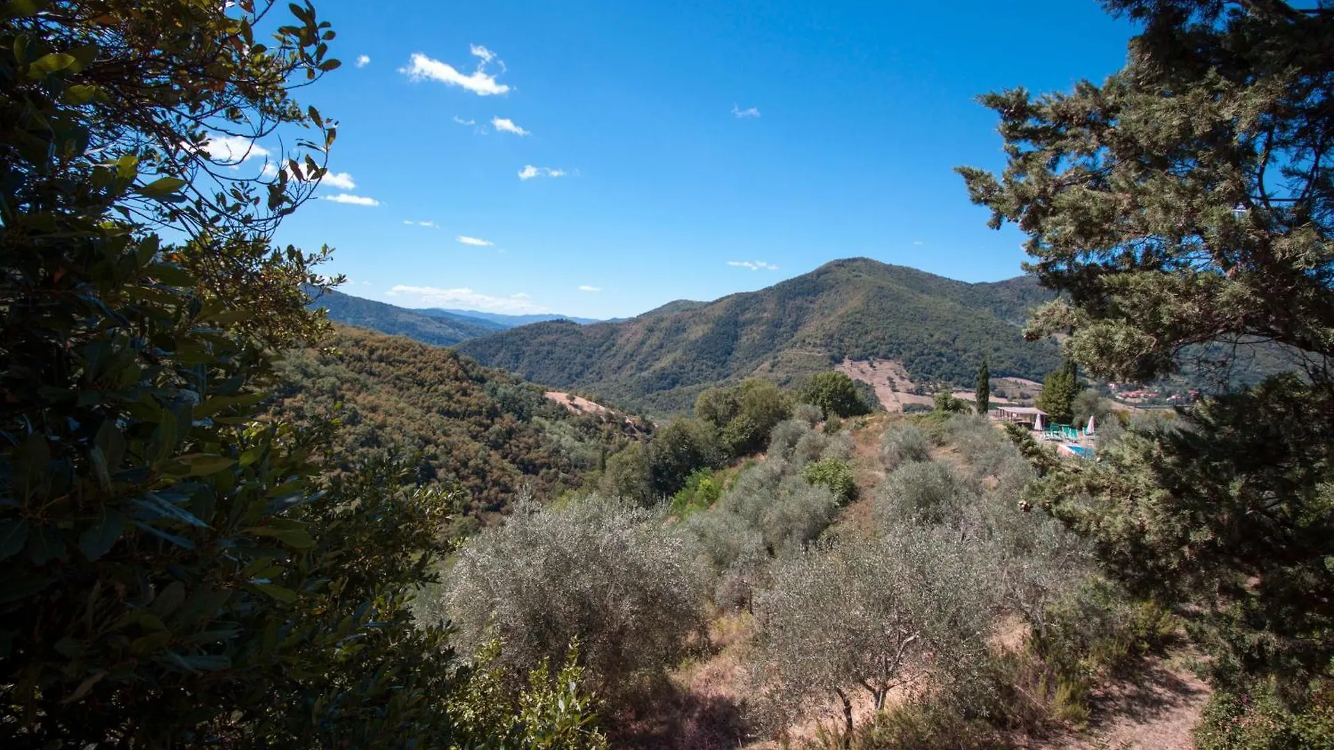 Frascole Villa Dicomano Farm stay